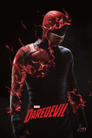 Marvel’s Daredevil (2015-2018) Season 01-03 – Hindi/English Dual Audio – Full Series Download & Watch FREE – .