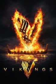 Vikings (2013-2020) Season 01-06 – All Complete – Hindi/English