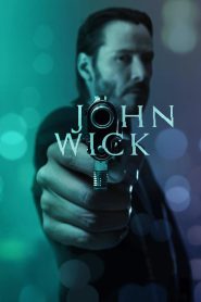 John Wick (2014) Hindi/English – Full Movie Download & Watch FREE – .