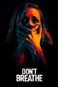 Don’t Breathe (2016) BluRay Hindi + English – Full Movie Download & Watch FREE – .