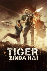 Tiger Zinda Hai (2017) HD – Full Movie Download & Watch FREE – .