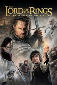 The Lord of the Rings: The Return of the King (2003) Extended BluRay Dual Audio Hindi + English – Full Movie Download & Watch FREE – .