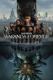 Black Panther: Wakanda Forever (2022) Hindi + English – Full Movie Download & Watch FREE – .