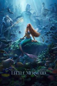 The Little Mermaid (2023) Dual Audio Hindi – Full Movie Download & Watch FREE – .