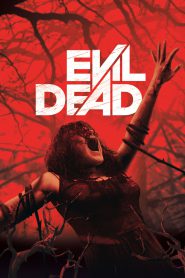 Evil Dead (2013) Dual Audio Hindi + English – Full Movie Download & Watch FREE – .
