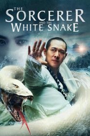 The Sorcerer and the White Snake (2011) BluRay Dual Audio Hindi/English – Full Movie Download & Watch FREE – .