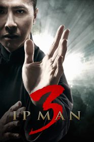 Ip Man 3 (2015) Hindi + Chinese – Full Movie Download & Watch FREE – .