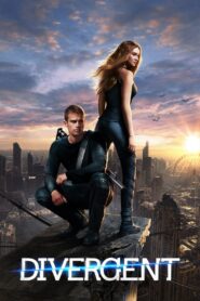 Divergent (2014) Dual Audio English – Hindi – Full Movie Download & Watch FREE – .