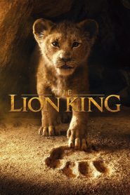 The Lion King (2019) Hindi + English – Full Movie Download & Watch FREE – .
