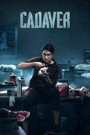 Cadaver (2022) Hindi + Tamil – Full Movie Download & Watch FREE – .