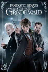 Fantastic Beasts: The Crimes of Grindelwald (2018) BluRay Dual Audio – Full Movie Download & Watch FREE – .