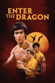 Enter the Dragon (1973) Hindi/English – Full Movie Download & Watch FREE – .