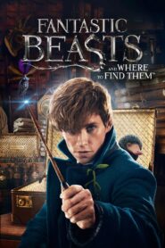 Fantastic Beasts: And Where To Find Them (2016) Dual Audio Hindi + English – Full Movie Download & Watch FREE – .