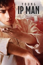 Young Ip Man: Crisis Time (2020) Hindi/Chinese – Full Movie Download & Watch FREE – .