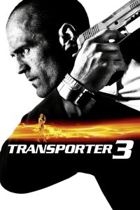 Transporter 3 (2008) Hindi/English – Full Movie Download & Watch FREE – .