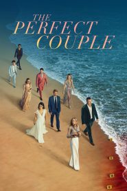 The Perfect Couple (2024) Season 01 – Hindi/English – Full Series Download & Watch FREE – .
