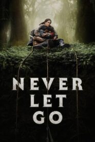 Never Let Go (2024) Hindi/English – Full Movie Download & Watch FREE – .