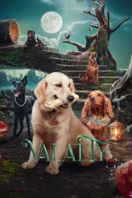 Valatty (2023) UNCUT Dual Audio Hindi + Malayalam