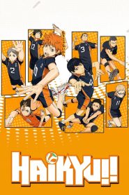 Haikyu!! (2020-2022) Season 01-02 – Hindi/Japanese – Full Series Download & Watch FREE – .