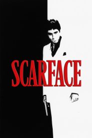 Scarface(1983) Hindi + English – Full Movie Download & Watch FREE – .