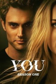 You: Season 1 – Hindi/English