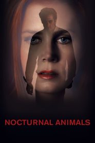 Nocturnal Animals (2016) Hindi + English – Full Movie Download & Watch FREE – .