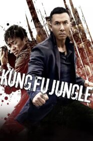 Kung Fu Jungle (2014) Hindi Dual – Full Movie Download & Watch FREE – .