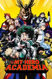 My Hero Academia Season 01-06 – Hindi/English/Japanese – Full Series Download & Watch FREE – .