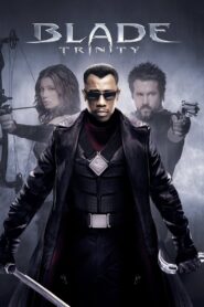 Blade: Trinity (2004) Blade 3 Hindi + English – Full Movie Download & Watch FREE – .