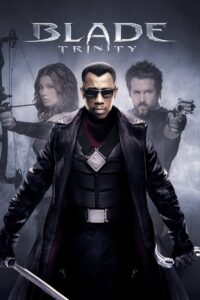 Blade: Trinity (2004) Blade 3 Hindi + English – Full Movie Download & Watch FREE – .