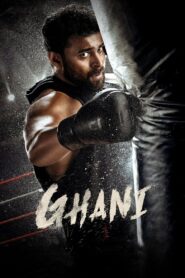 Ghani (2022) Hindi Dubbed – Full Movie Download & Watch FREE – .
