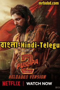 Pushpa 2 – The Rule (2024) – Reloaded Version – Bangla/Hindi – 4K – Netflix – Full Movie Download & Watch FREE – .