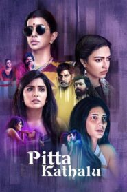 Pitta Kathalu (2021) Season 01 – Hindi – Full Series Download & Watch FREE – .