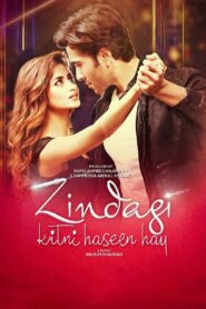 Zindagi Kitni Haseen Hay (2016) Pakistani – Full Movie Download & Watch FREE – .