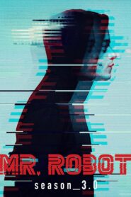Mr. Robot: Season 3 – Hindi/English