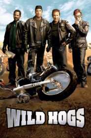 Wild Hogs (2007) – Hindi/English – Full Movie Download & Watch FREE – .
