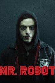 Mr. Robot: Season 2 – Hindi/English