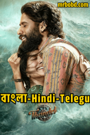 Thandel (2025) Bangla/Hindi/Telegu – Full HD – Full Movie Download & Watch FREE – .