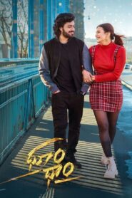 Dhoom Dhaam (2024) Hindi/Telugu Dual Audio – Full Movie Download & Watch FREE – .