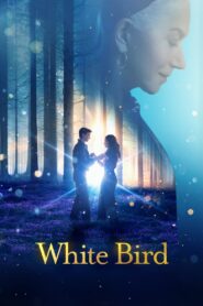 White Bird A Wonder Story (2024) Dual Audio Hindi – Full Movie Download & Watch FREE – .