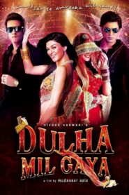 Dulha Mil Gaya (2010) Hindi BluRay – Full Movie Download & Watch FREE – .
