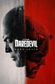 Daredevil: Born Again (2025) Season 01 – Episode 01-09 – Hindi/English – Full Series Download & Watch FREE – .