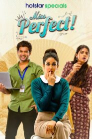 Miss Perfect (2024) Season 1 – Bangla/Hindi – Full Series Download & Watch FREE – .