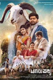 Tagaru Palya (2023) Dual Audio [Hindi ORG-Kannada] WEB-DL – Full Movie Download & Watch FREE – .