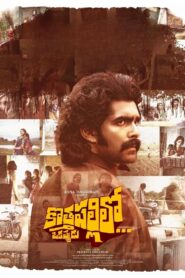 Kothapallilo Okappudu (2025) Telugu Aha – WEB-DL H264 AAC 1080p 720p 480p Download & Watch FREE