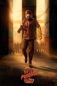 Pushpa 2 – The Rule Bangla Full Movie 2025 Download (HR MOVIE BD)