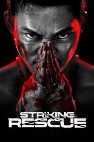 Striking Rescue (2024) – 4K – Dual Audio [Hindi ORG-Chinese] BluRay – WEB-DL H264 AAC 1080p 720p 480p Download & Watch FREE